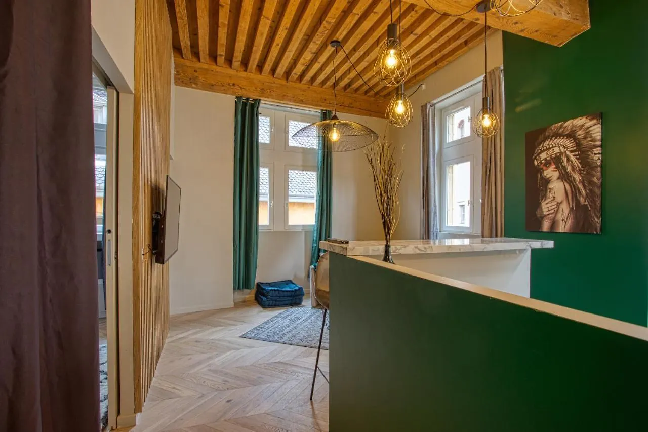 Standing, Elegance, Appartement D'Architecte Lyon 0*,  Frankrig