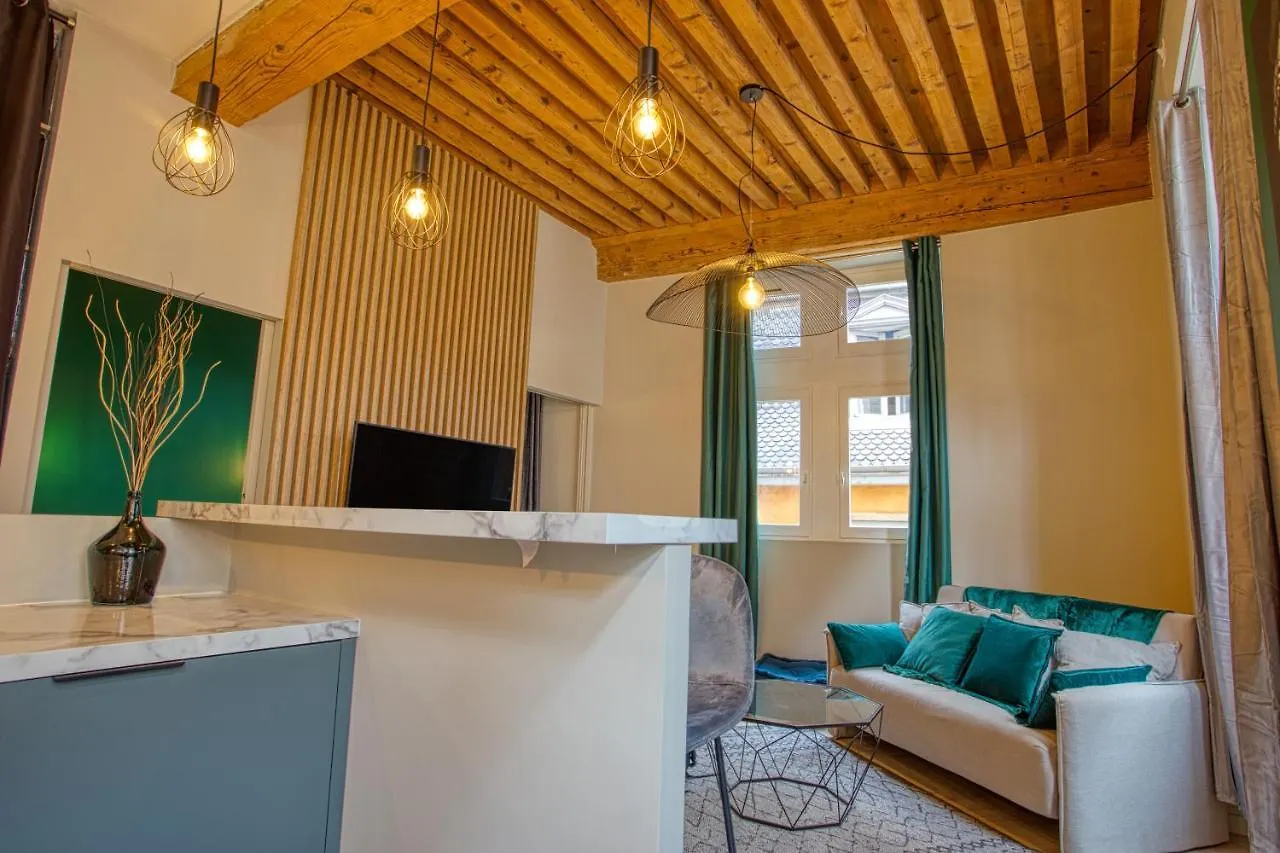 Standing, Elegance, Appartement D'Architecte Lyon Lejlighed