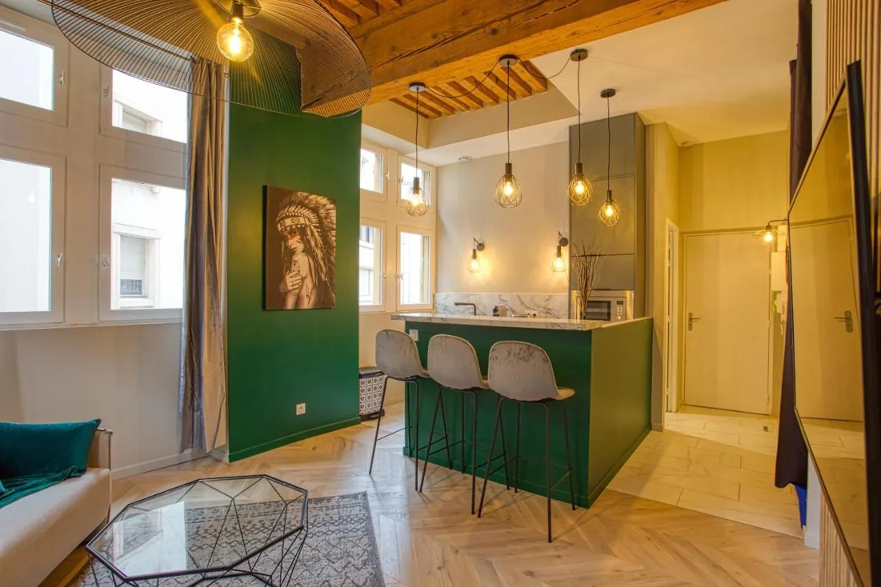 Standing, Elegance, Appartement D'Architecte Lyon Francja