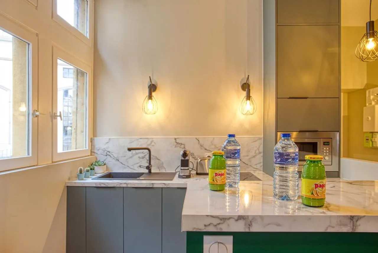 Apartament Standing, Elegance, Appartement D'Architecte Lyon Francja